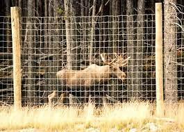 Galvanized Round Corner DG Deer Gates - 72" High