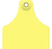 Allflex Maxi Blank Two Piece Ear Tags 25pk | Female Tag | Cattle ID