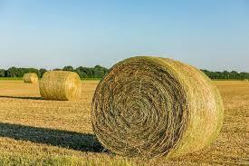 Baler Twine | Round Bale | 40000' Double Ball | Plastic | Windrow