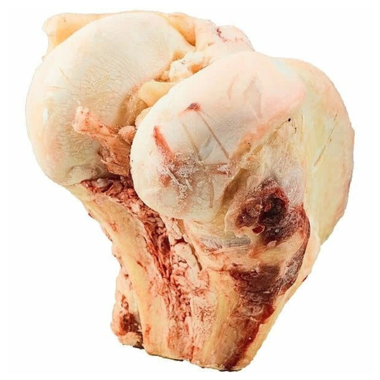 Front view of K9 Choice Frozen Buffalo Knuckle Bone Dog Chew on a white background