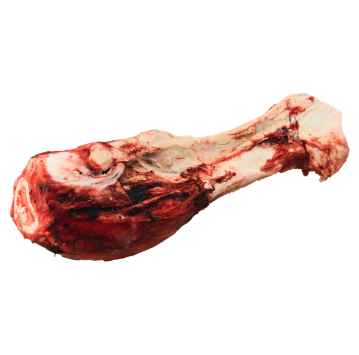 Close-up view of K9 Frozen Whole Beef Dino Bones Dog Chew on a white background