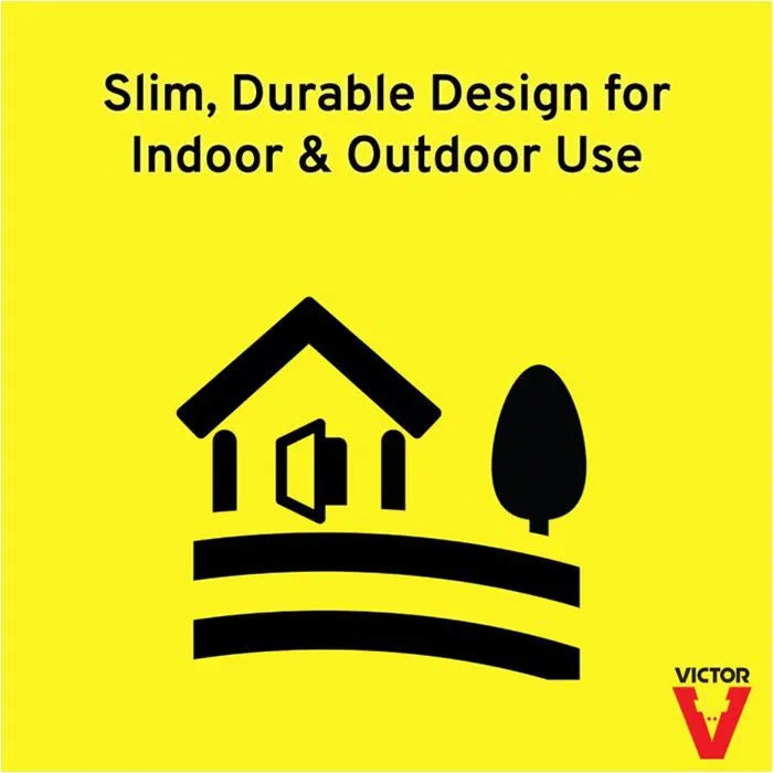 Mouse Trap | Clear Top | Multi Catch | Tin Cat Style | Live Trap