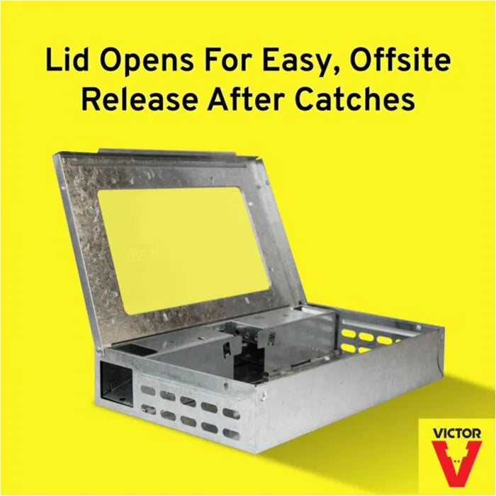 Mouse Trap | Clear Top | Multi Catch | Tin Cat Style | Live Trap