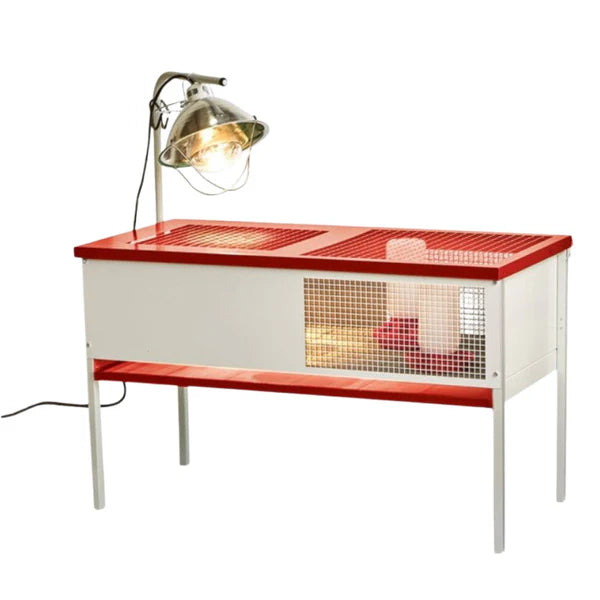 Miller Chick Brooder | Metal Baby Chick Brooder with Lamp Arm | Unassembled