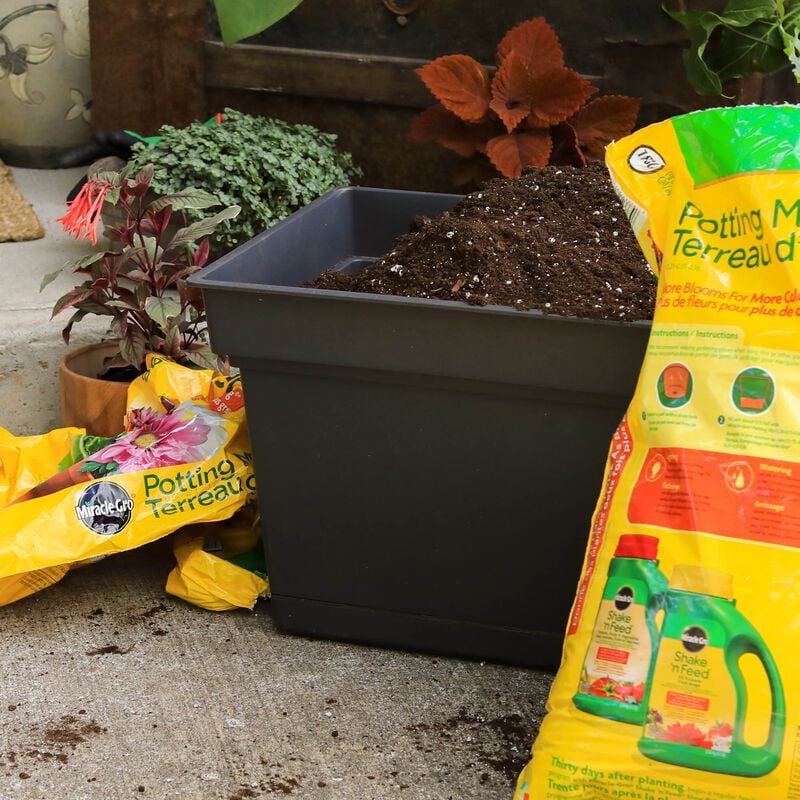 Miracle-Gro Premium Potting Mix 25L | Container Gardening | Purity Feed
