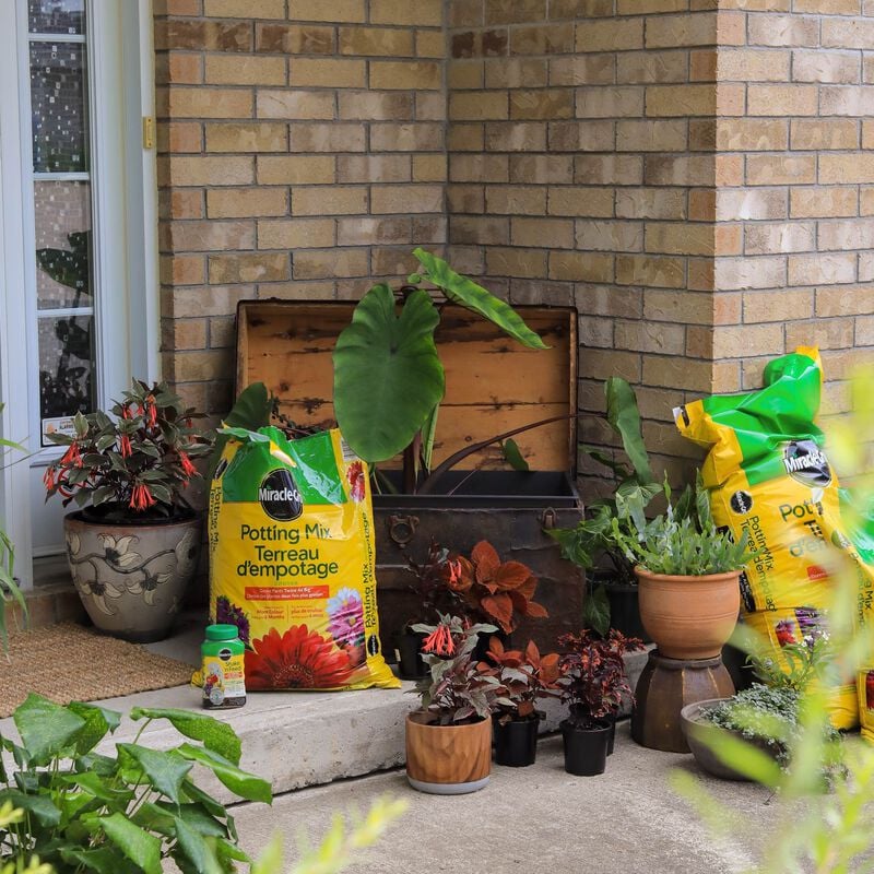 Miracle-Gro Premium Potting Mix 25L | Container Gardening | Purity Feed