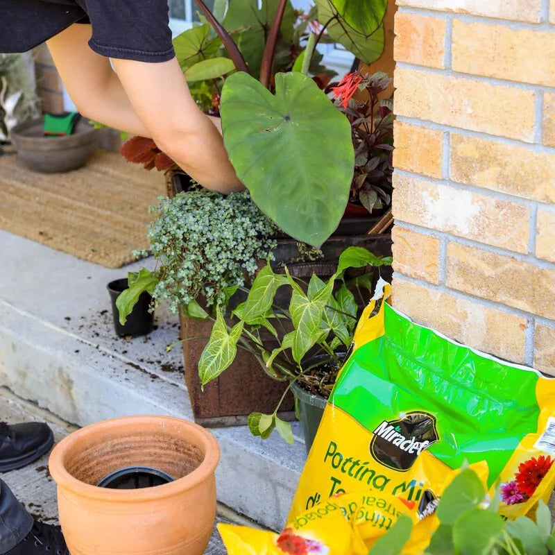Miracle-Gro Premium Potting Mix 50L | Container Gardening | Purity Feed