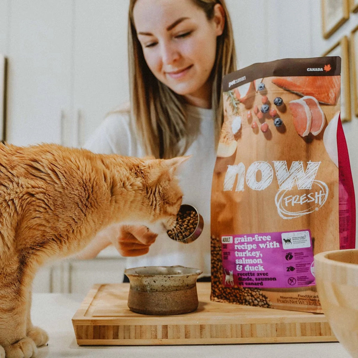 A happy cat enjoying Now Fresh Grain Free Adult Recipe Turkey, Salmon, and Duck Cat Food in Kamloops, British Columbia