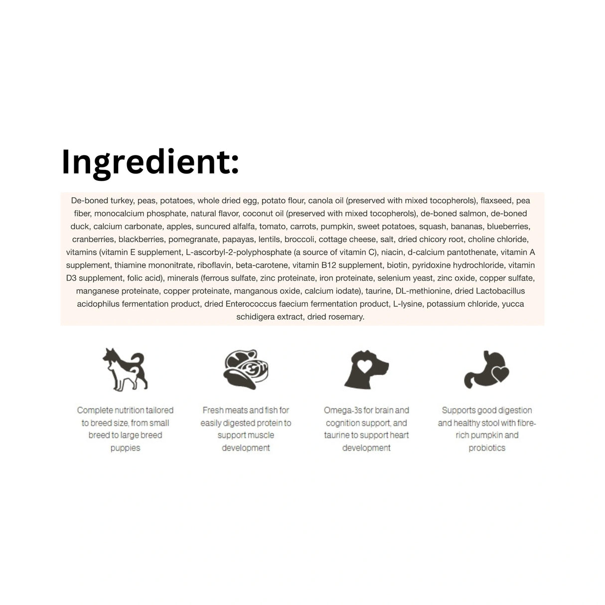 List of wholesome ingredients in Now Fresh Grain Free Puppy Recipe Turkey, Salmon, and Duck Dog Food with icons