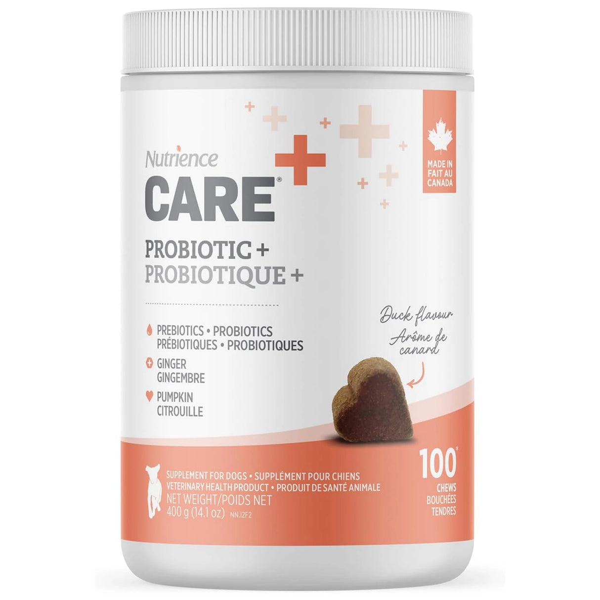 A front view of Nutrience Care Probiotic+ Dog Supplement digestive health formula on a white background