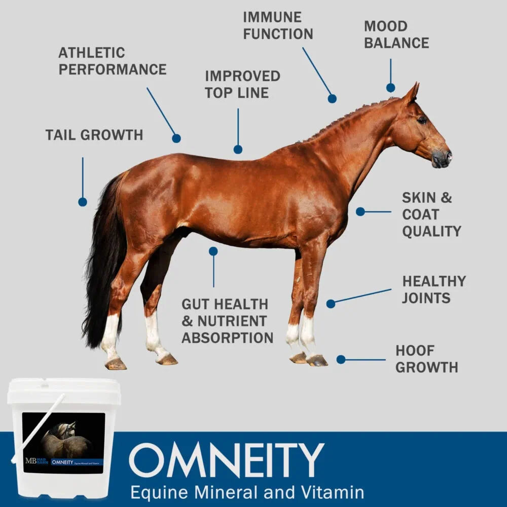 Mad Barn Omneity Equine Mineral And Vitamin Premix