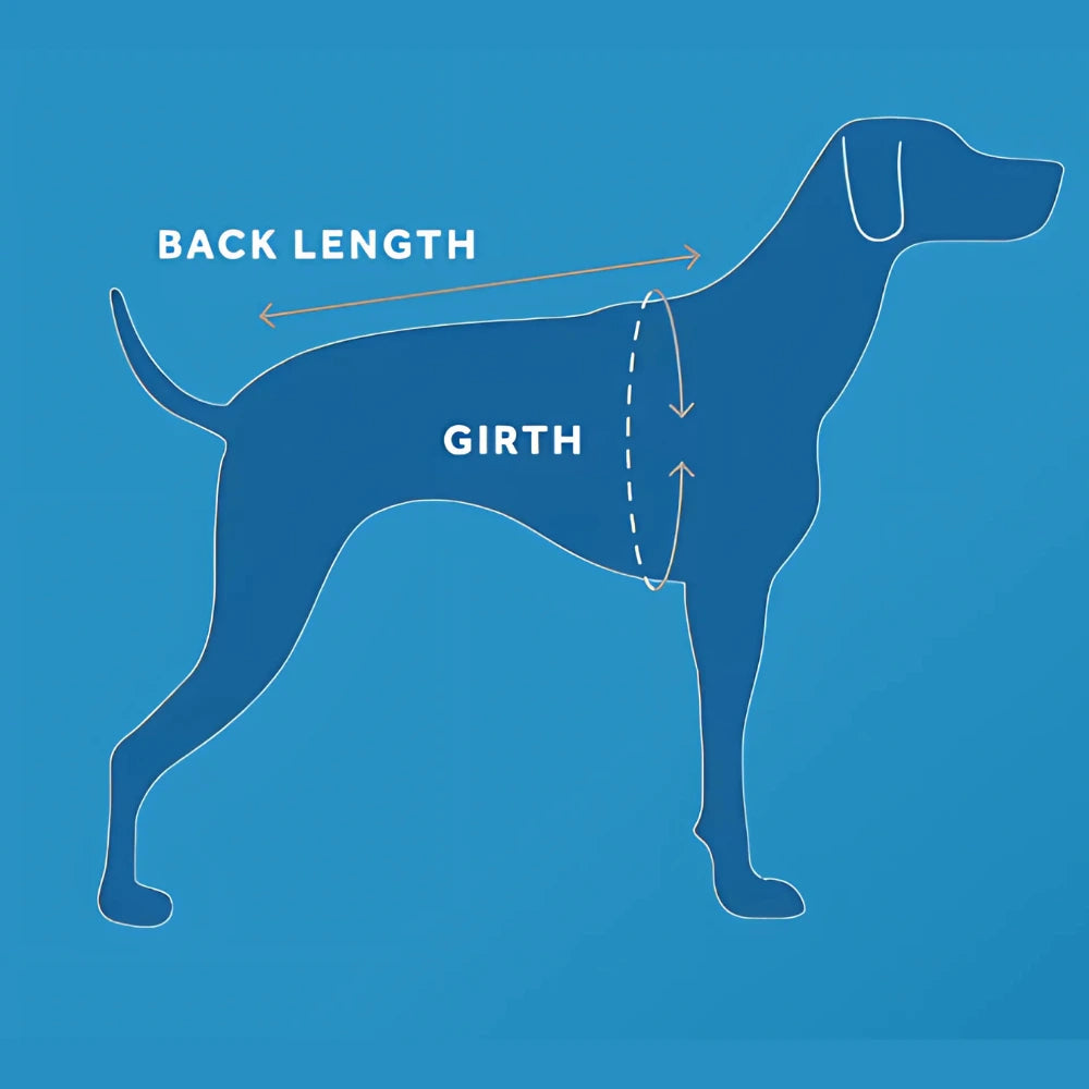 Winter Dog Coat | Cascade Coat | RC Pets