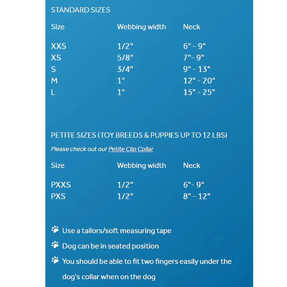 Dog Collar | Clip Collar Primary | RC Pets