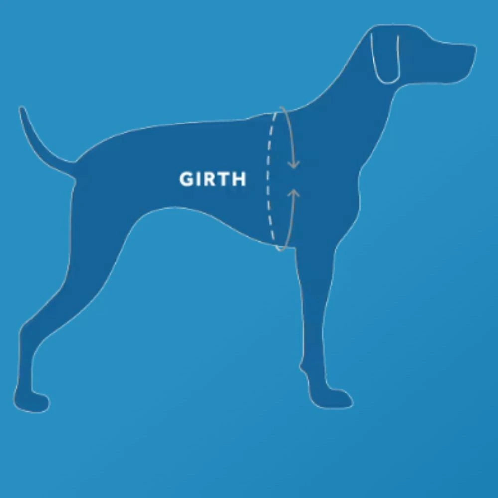 Dog Harness | Momentum Control | RC Pets