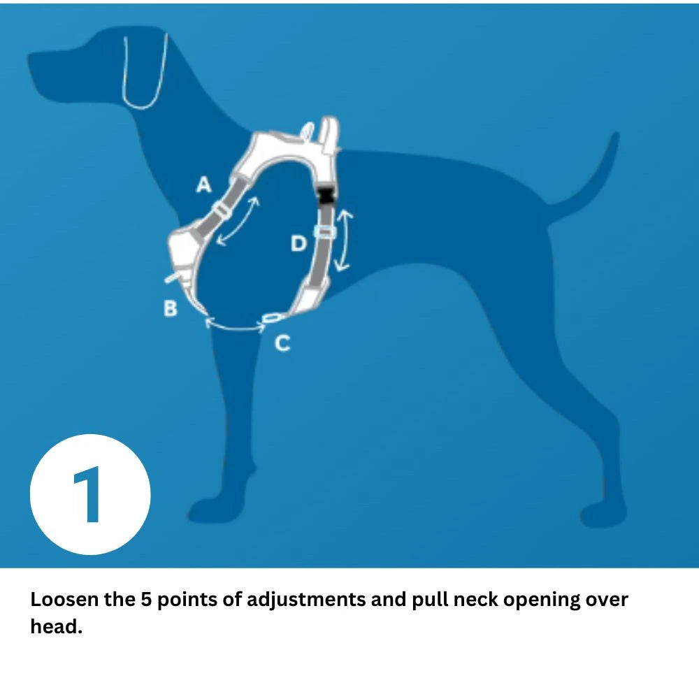 Dog Harness | Momentum Control | RC Pets