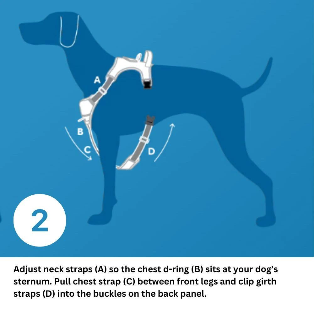 Dog Harness | Momentum Control | RC Pets