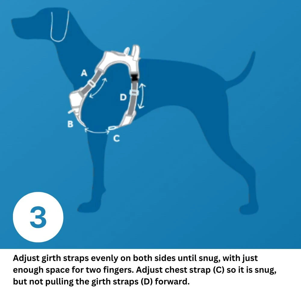 Dog Harness | Momentum Control | RC Pets