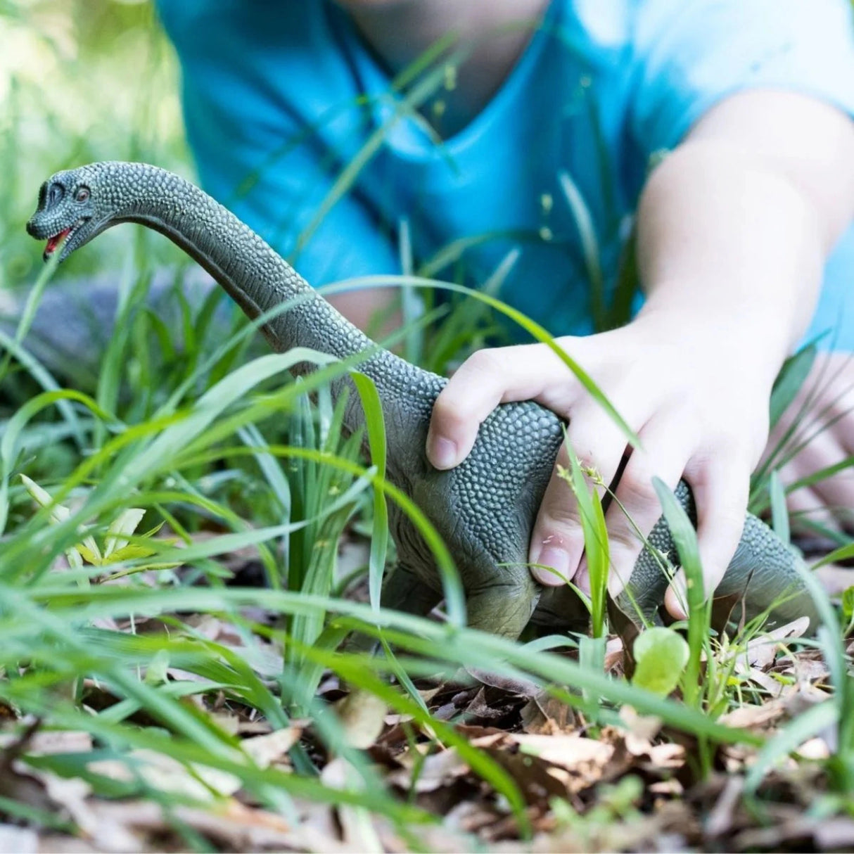 The Schleich Brachiosaurus dinosaur toy being played by a young child in outdoors in Kamloops, British Columbia