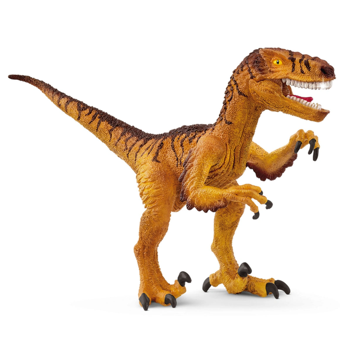 A close-up view of Schleich Dinosaur Toys Feathered Velociraptor on a white background