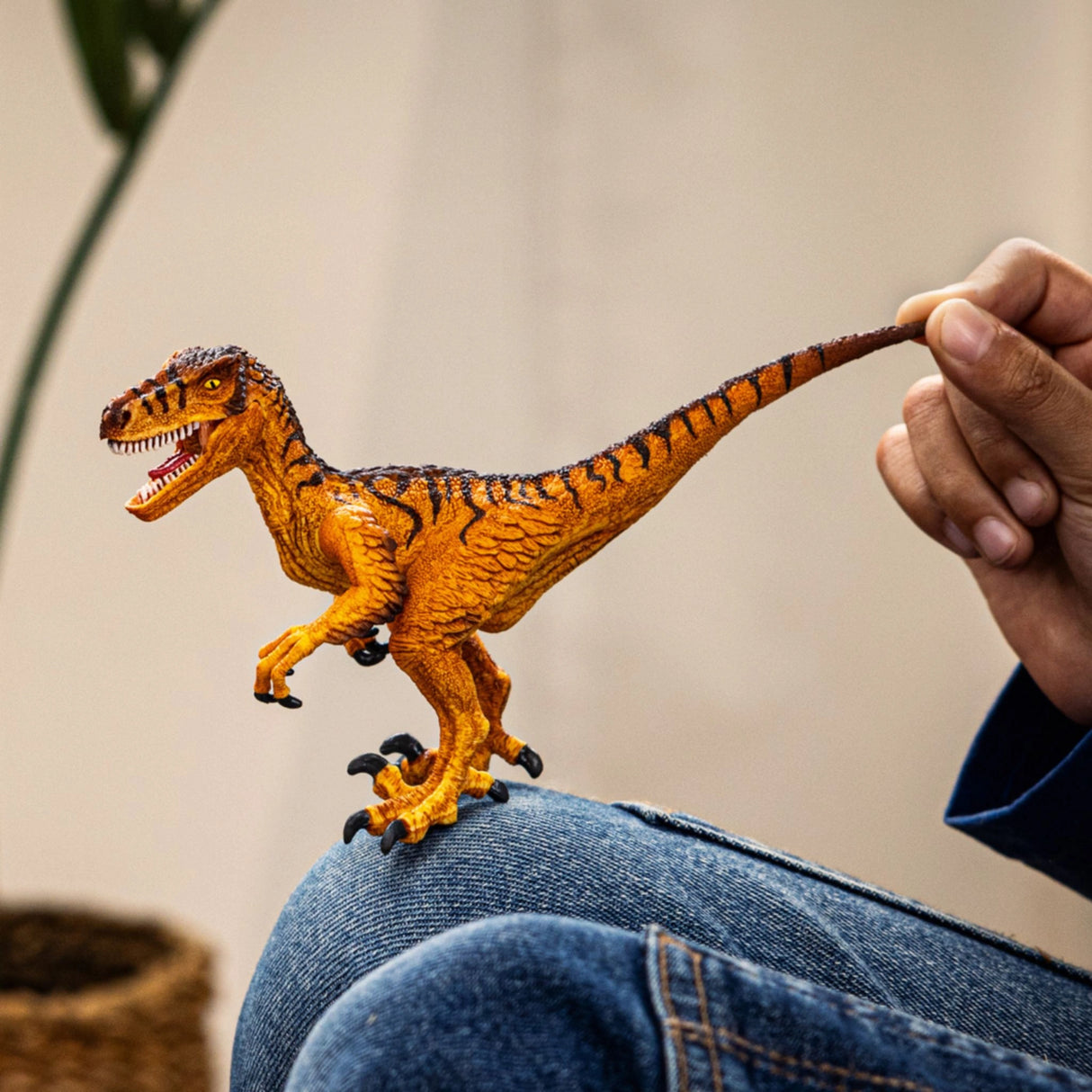 A child playing with a Schleich Feathered Velociraptor dinosaur toy