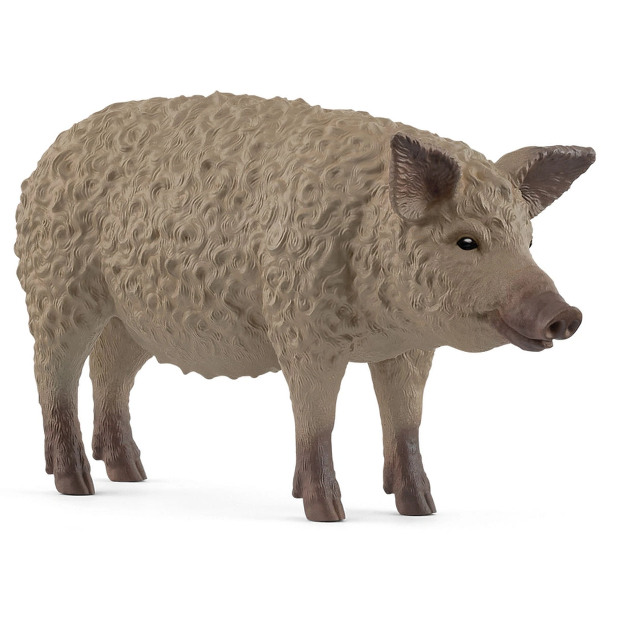 A close-up view of Schleich Mangalica Pig farm animal toy on a white background
