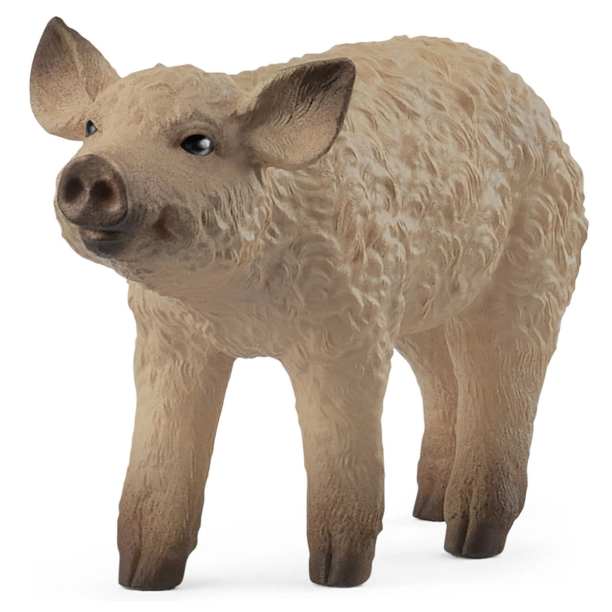 A close-up view of Schleich Mangalica Piglet farm animal toy on a white background