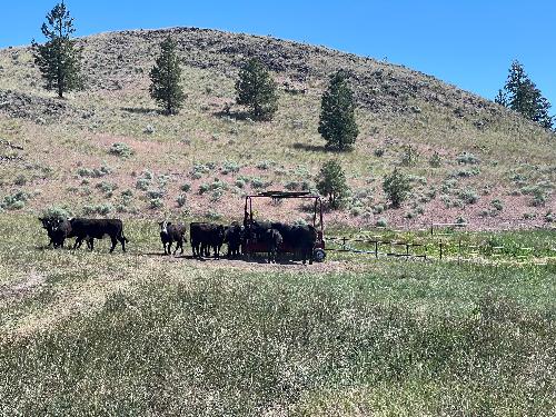 Stock Tank | Solar Powered | 250 Head Clearfab | Portable