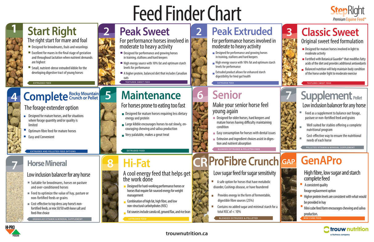Step Right horse feed chart