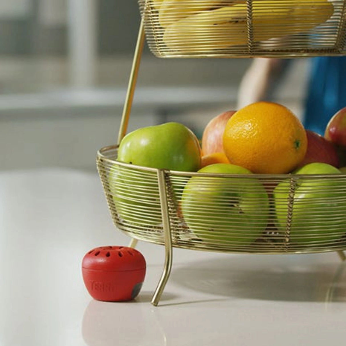 Terro Fruit Fly Trap placed indoors on a kitchen countertop near a fruit bowl