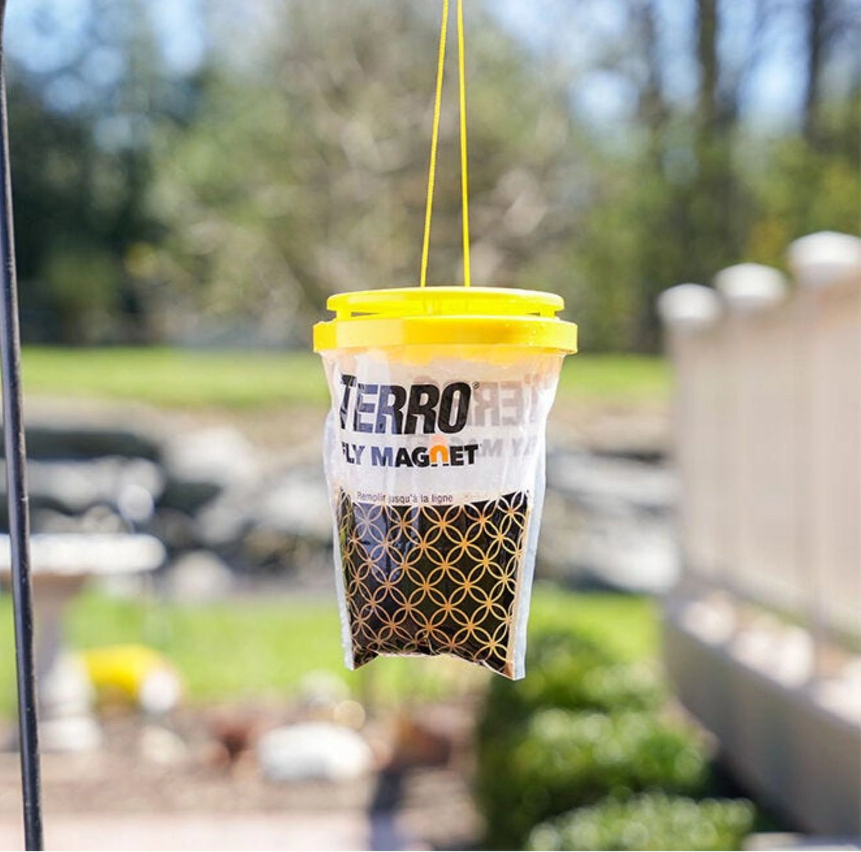 Terro Fly Magnet Disposable Fly Trap being used outdoors in Kamloops, British Columbia