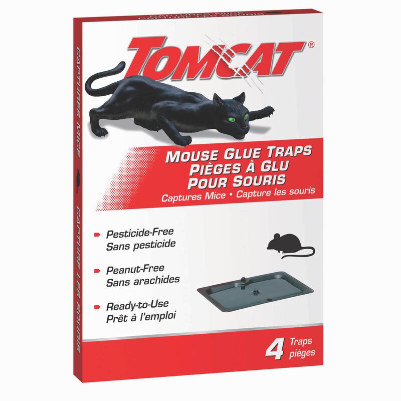 Tom Cat Mouse Glue Trap 2/Pkg Sc-0365410