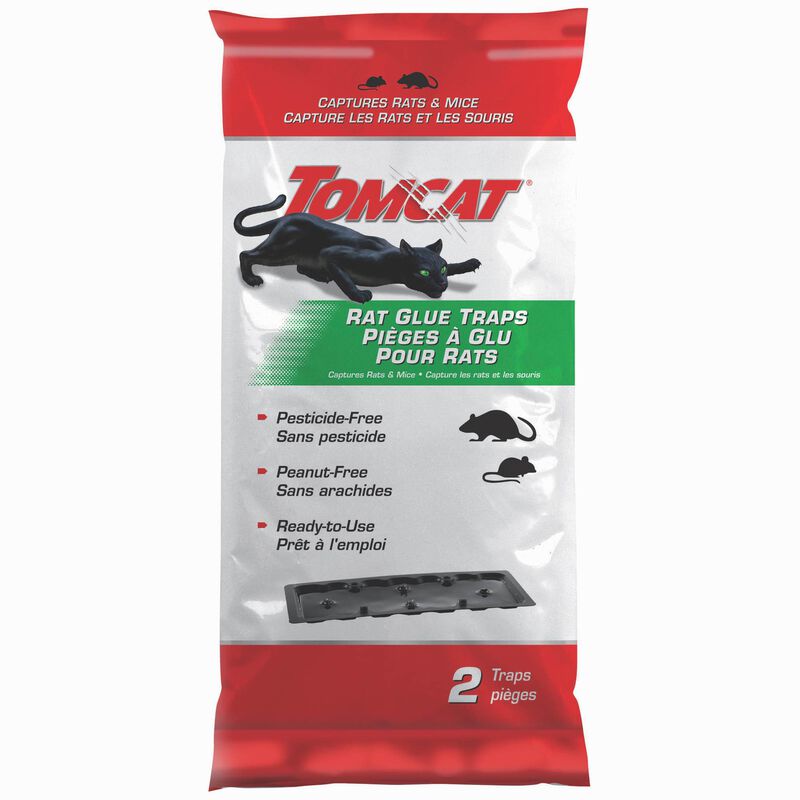 Rat Traps | Non-toxic | Glue Board | Tomcat 2 Pack