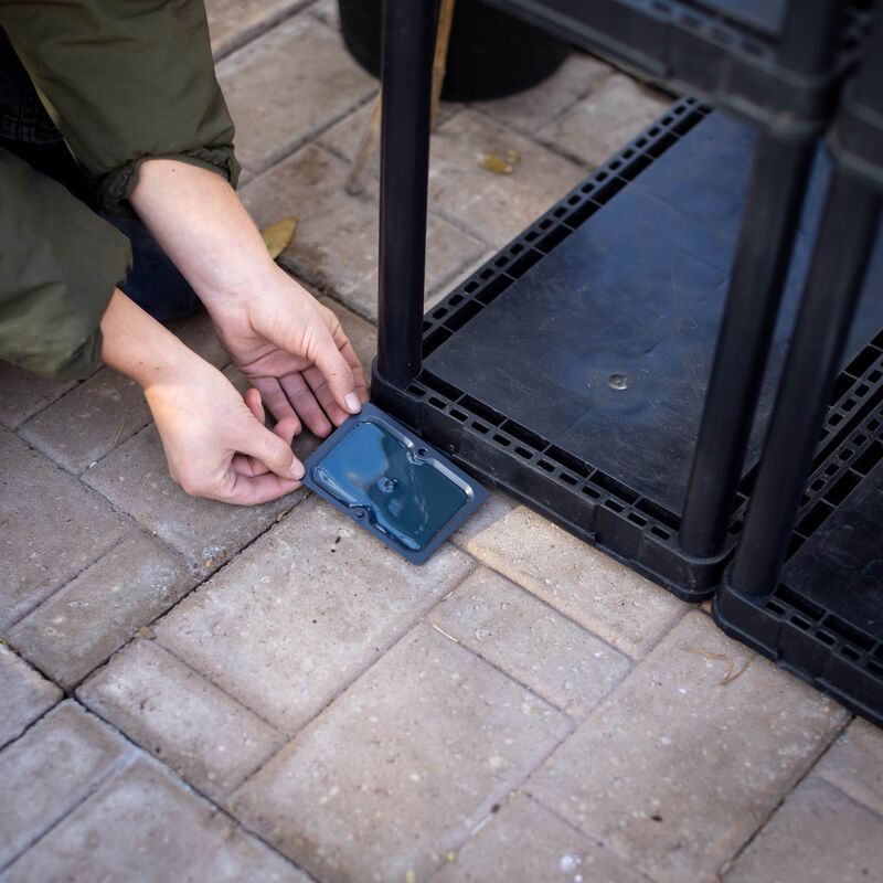 Rat Traps | Non-toxic | Glue Board | Tomcat 2 Pack