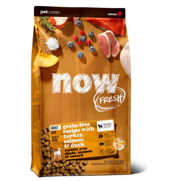Now Turkey, Salmon, & Duck Large Breed Adult Dog Food for Dogs