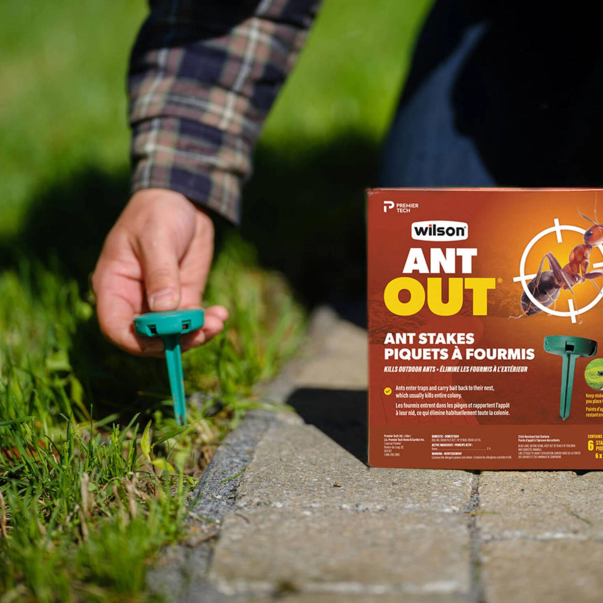 Homeowner using Wilson Ant Out Ant Stakes in a lawn area in Kamloops, British Columbia