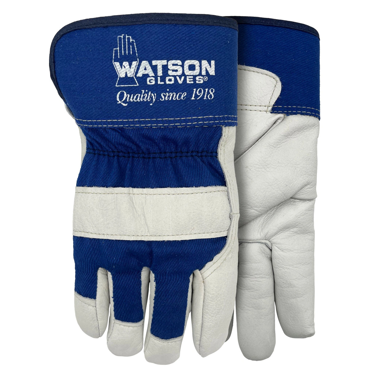 A close-up view of Watson Women's Gloves on a white background