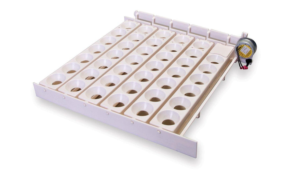 Egg Incubator | Automatic Turner | 41 Egg | Little Giant 6300