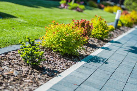 Tips to Make Your Yard Drought-Tolerant