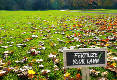 Fall Fertilizing: Essential Tips for a Lush Lawn in Kamloops, BC