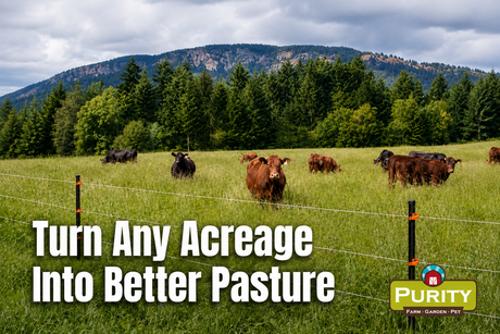 Turn Any Acreage Into Better Pasture
