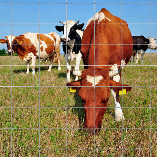 Understanding Cattle Panels: Versatile Solutions for Livestock Management