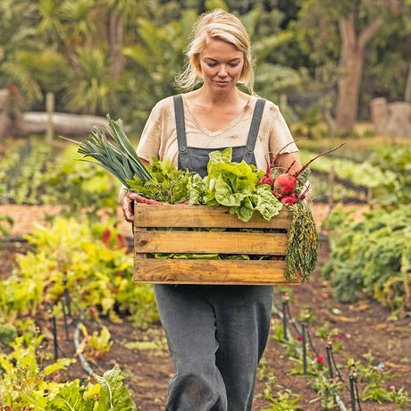 Maximize Your Harvest: Late Summer Strategies