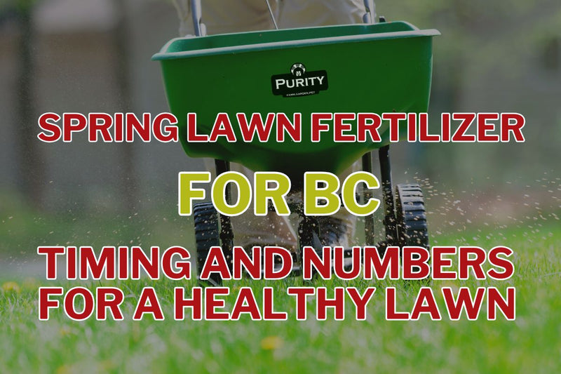 Spring Lawn Fertilizer in BC: The Right Timing and Numbers for a Healthy Lawn