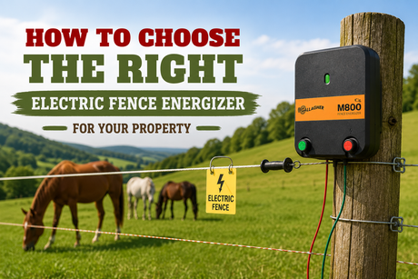 How to Choose the Right Electric Fence Energizer for Your Property