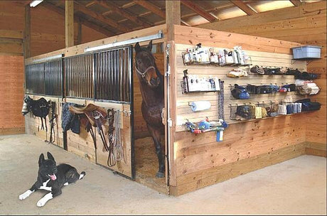 an organized horse tack room with a brown horse peeking out from a stall and a black dog laying on the floor