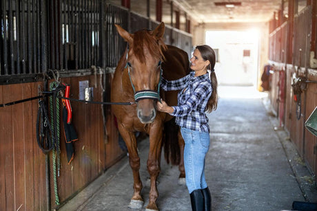 a woman equips a horse with a harness while they both stand inside a horse barn.