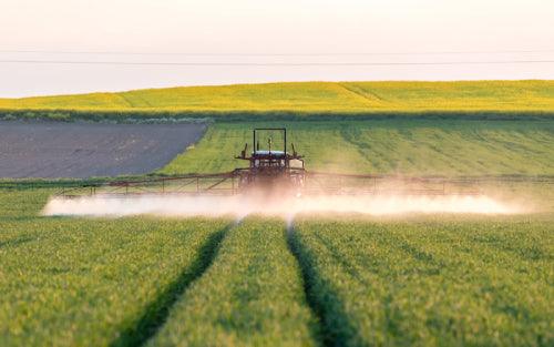 A farmer spreads fertilizer over a crop using a tractor and sprayer