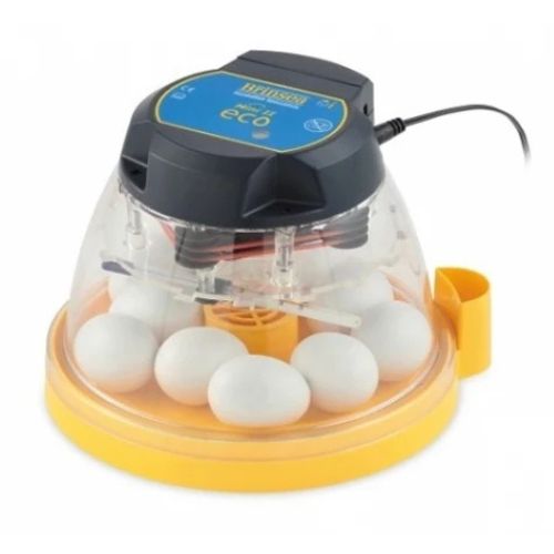 Chicken incubator 