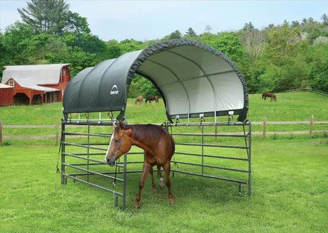 a horse peeks its head out of a small livestock shelter in a field with a barn and horses in the background