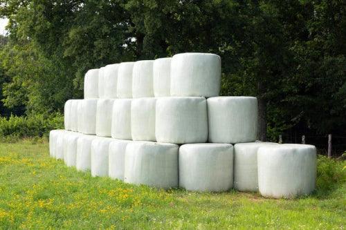 bales of silage wrapped in white plastic